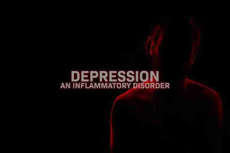 Depression is an inflammatory disease