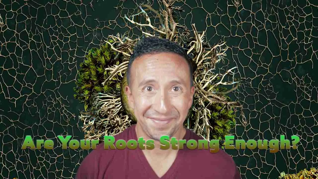 Marcelo Oleas - Are your roots strong enough?